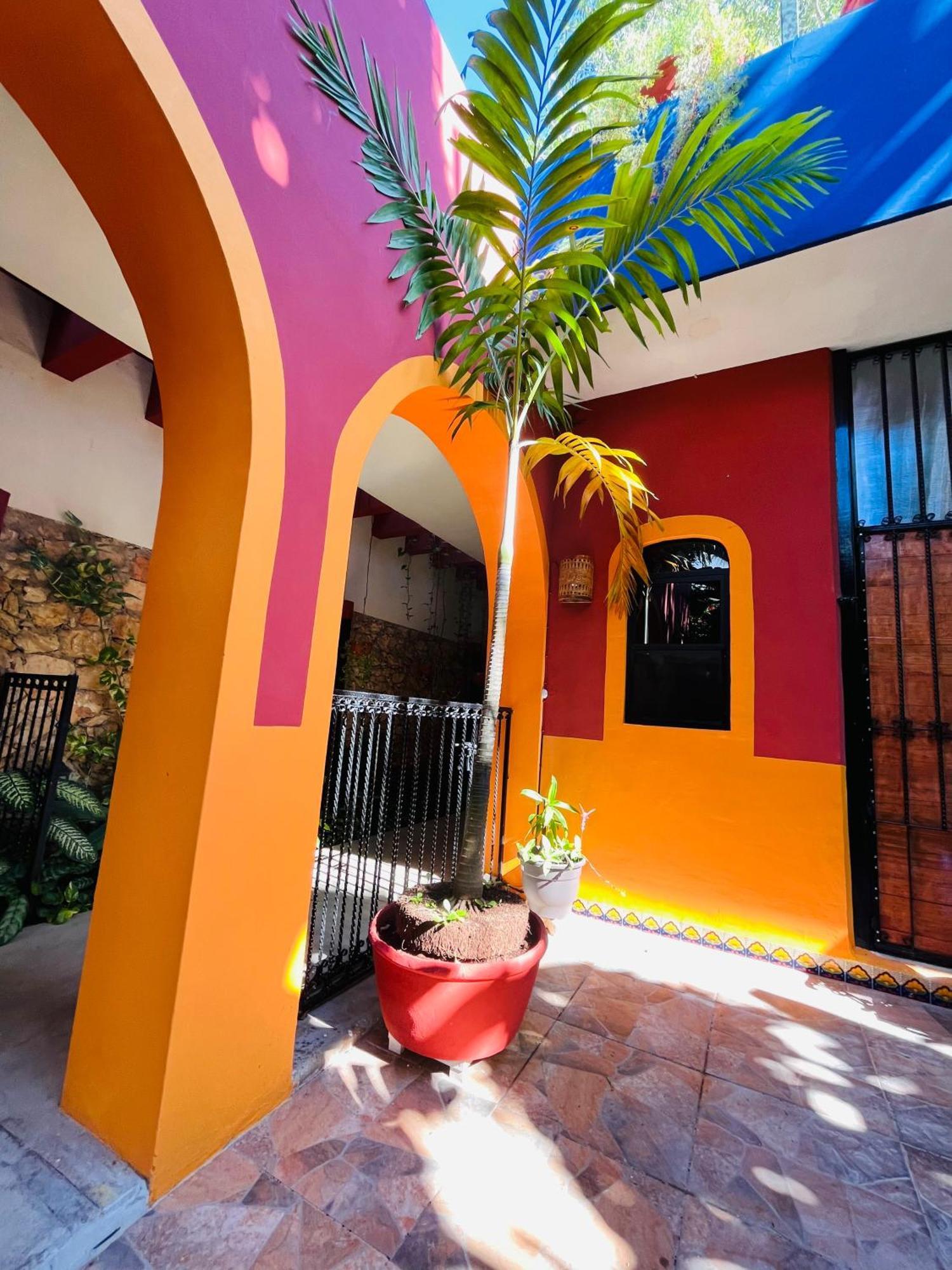 Bed and Breakfast Casa Tres Colibries Мерида Экстерьер фото